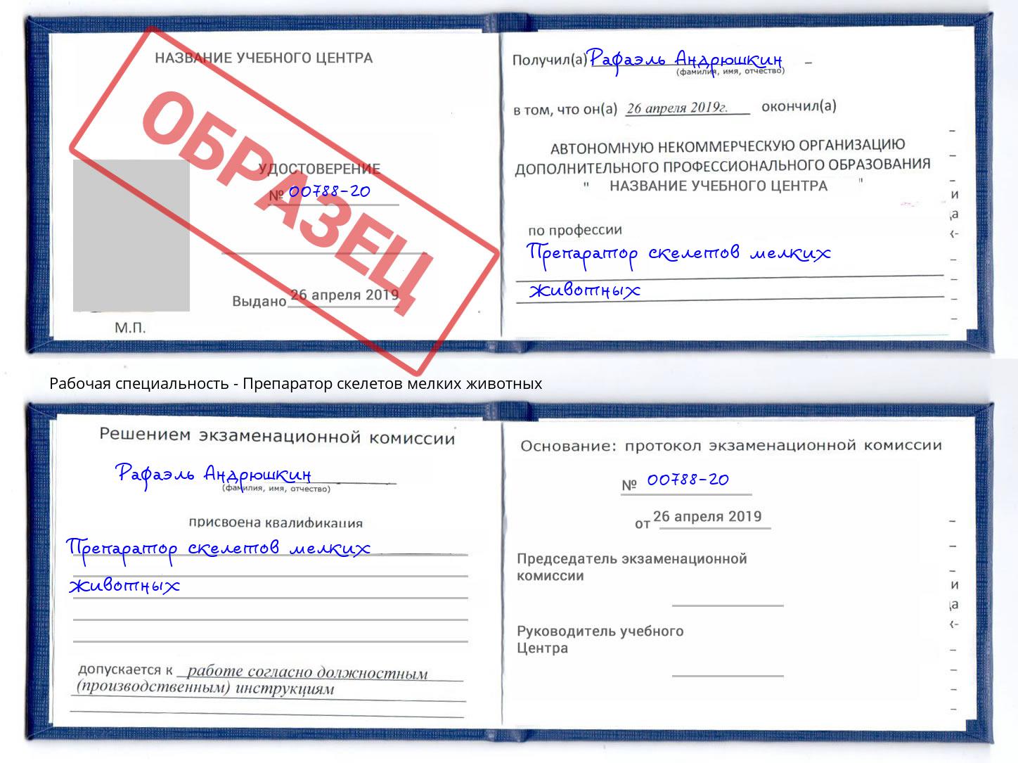 Препаратор скелетов мелких животных Киселевск